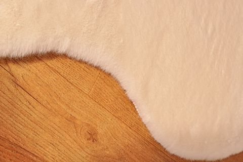 TAPPETO REX TAVŞANI DEKORATİF SİNGLE POST, 22 MM, KREM, 60X90