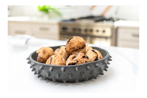 SİYAH EL YAPIMI DİKENLİ TASARIMLI TERRACOTTA KASE