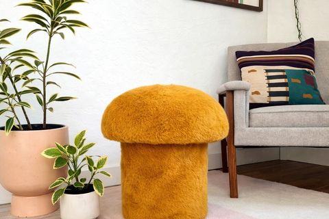 MUSHROOM MANTAR PUF, HARDAL