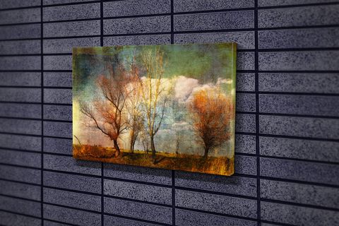TABLO360 YAĞLIBOYA GÖRÜNÜMLÜ AĞAÇLAR KANVAS TABLO 50X75