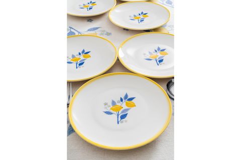 LEMON 6 LI PASTA TABAĞI SETİ