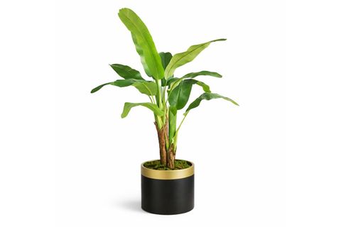 YAPAY MUZ AĞACI, 2 GÖVDELİ, 180 CM