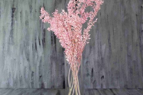 RUSKUS (KOKİNA) DEMET AÇIK PEMBE