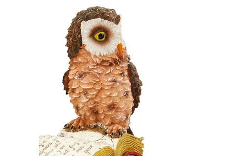 PRETTY İKİLİ BİLGE BAYKUŞ BİBLO 14X16 CM