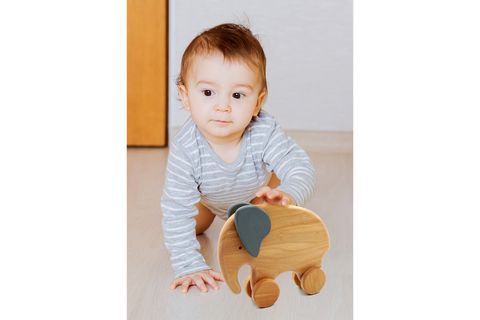 NS DESİGN FİL RENKLİ AHŞAP OYUNCAK