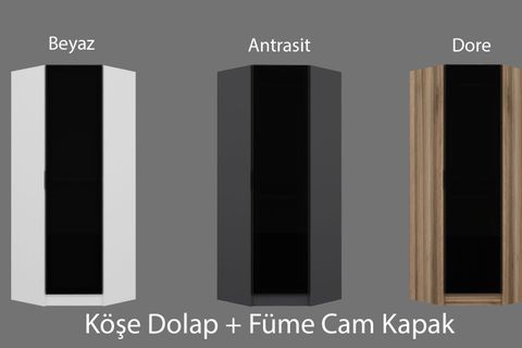 KALE 1 FÜME CAM KAPAKLI KÖŞE DOLAP, ANTRASİT, 190 CM