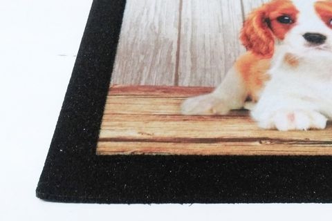 GİZ HOME İTALYAN FORMAT KAPİ PASPASİ 40X68 MY HOME KÖPEKLER