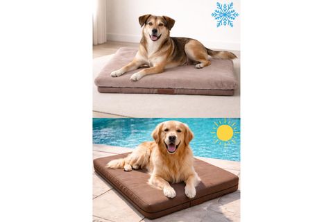 PURE COMFORT PILLOW KAHVE, L BEDEN, 75X95X10 CM