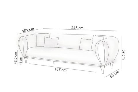 MEBLON KOLTUK TAKIMI SARI