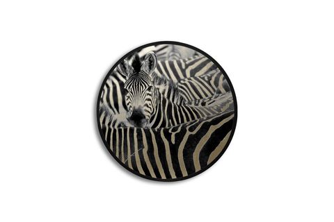 METAL ÇERÇEVELİ CİRCLE FRAMED ZEBRAS PARILTILI TABLO