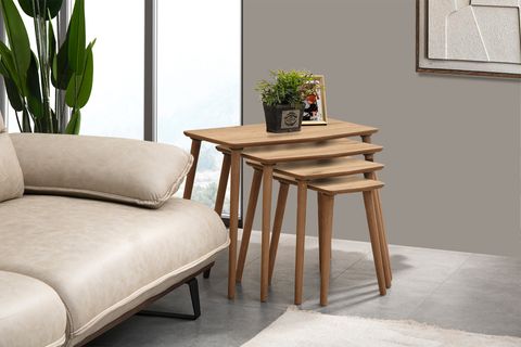 VEGA DÖRTLÜ ZİGON ORTA SEHPA SETİ, MEŞE