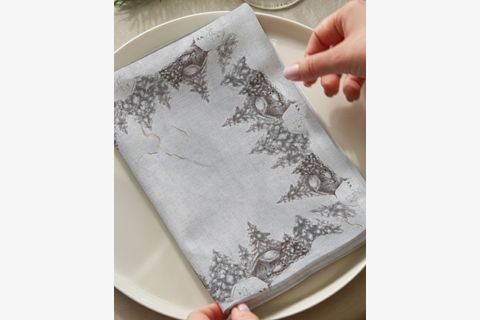 KIŞ MASALI PAMUKLU DÖRT ADET PEÇETE