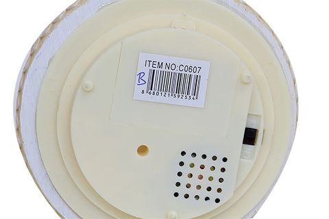 KAR KÜRESİ BALERİN DÖNENCE