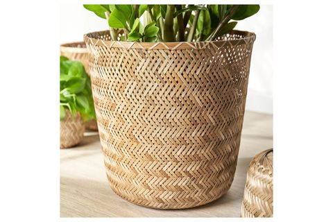 ASYA BAMBU SAKSI, 30 CM