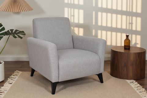 BRADLEY BERJER, GRİ