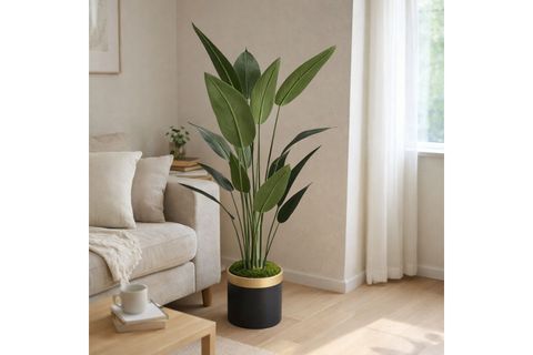 YAPAY STARLİÇE AĞACI İNCE YAPRAK, 165 CM