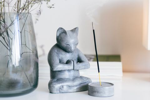 BETON MEDİTASYON KEDİ TÜTSÜLÜK