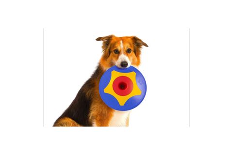 TROTTO DİSK KÖPEK OYUNCAĞI