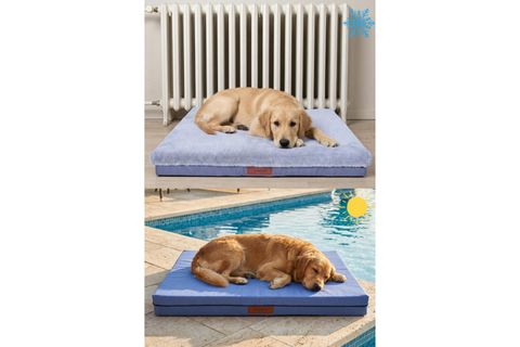 PURE COMFORT PILLOW GRİ, L BEDEN, 75X95X10 CM