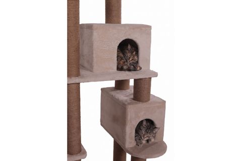 MRCAT KEDİ TIRMALAMA AĞACI, KREM