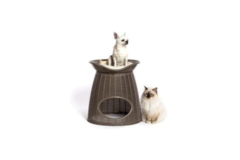 PASHA KEDİ KÖPEK EVİ