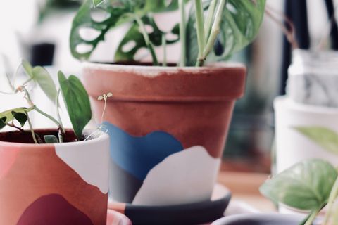 TERRACOTTA SAKSI, MAVİ GRİ