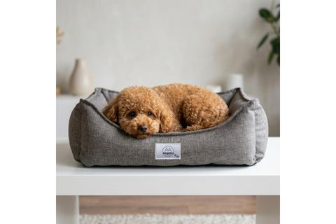 VANILLA KÖPEK YATAĞI KAHVE XL BEDEN 75X95X22