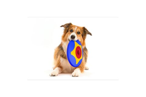 TİRA MOLLY MİNİ KÖPEK ÖDÜL OYUNCAĞI