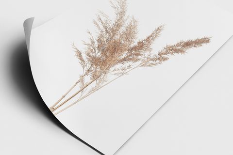 PAMPAS TABLO SETİ, SİYAH ÇERÇEVE TABLO SETİ 33X48