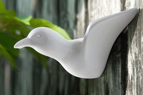 KUŞ DUVAR DEKORU ASKILIK, BEYAZ