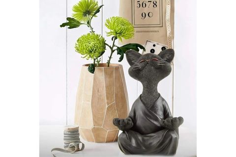 YOGA YAPAN KEDİ BİBLO, SİYAH