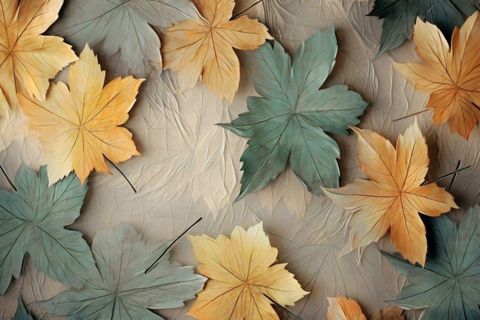 DİJİTAL BASKI, KAYMAZ TABAN İKİLİ BANYO PASPASI 100X60 + 60X50 CM  RVG5307