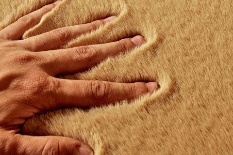 TAPPETO REX TAVŞANI DEKORATİF YUVARLAK POST HALI, CAMEL, 140X140