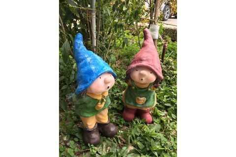 DÖRDÜZ CÜCE KARDEŞLER