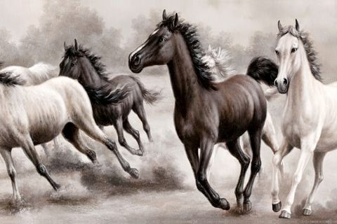 KOŞAN ATLAR CAM TABLO, ÇERÇEVESİZ, 30X90, C02000064