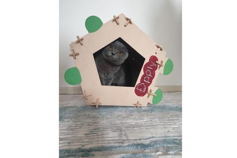 KEDİ EVİ PROJESİ