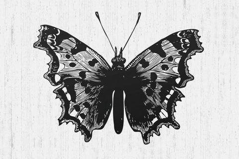 BUTTERFLY-4  DEV BOYUT CANVAS TABLO 100X150