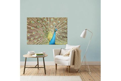 TAVUS KUŞU KANVAS  TABLO HAKU-2755 60X90CM