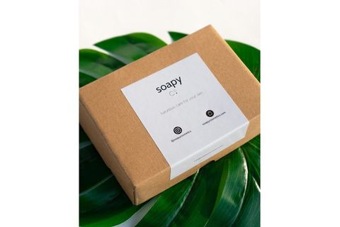 SHİNE KARPUZLU LİP BALM DUDAK BALMI 15 GR