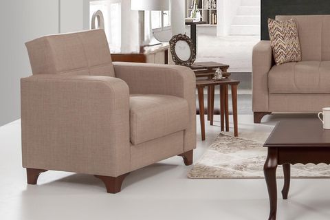 DAMLA TEKLİ KOLTUK, VİZON