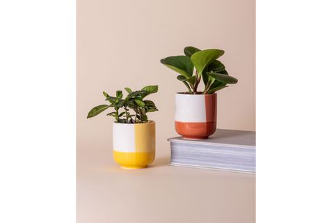 THE MİA PORSELEN SAKSI PEMBE 9X10 CM