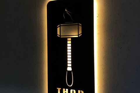 THOR V1 PANO