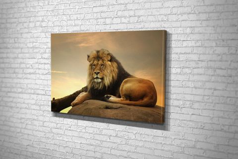 TABLO360 ASLAN KANVAS TABLO, 100X150