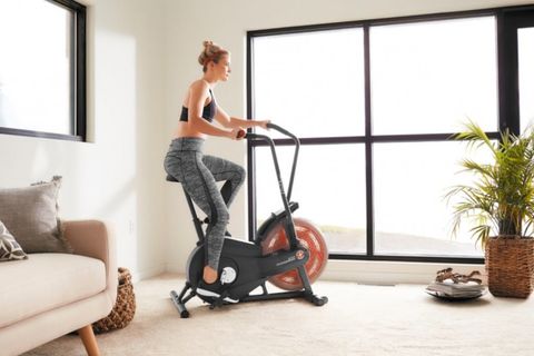 Schwinn sale airdyne ad2i