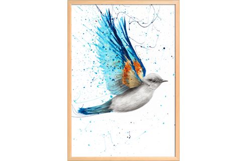 FRANK RAY 50X70 ÇERÇEVELİ PANO, 09
