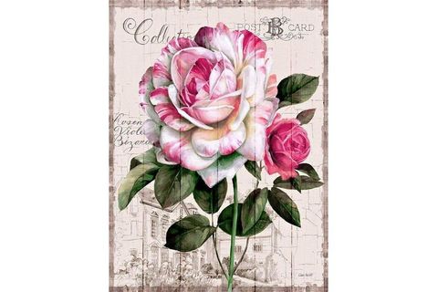 ÇERÇEVELİ PİNK ROSE AHŞAP  TABLO 50X70