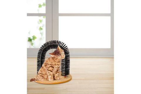 KEDİ TIRMALAMA VE KAŞINMA TÜNELİ
