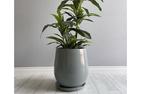ODKA ARMUT MODEL TABAKLI SAKSI, FÜME, 25CM