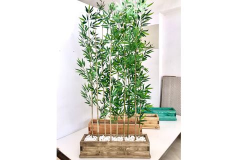 FLORA COLLECTİON BAMBU SEPERATÖR PARAVAN, YEŞİL