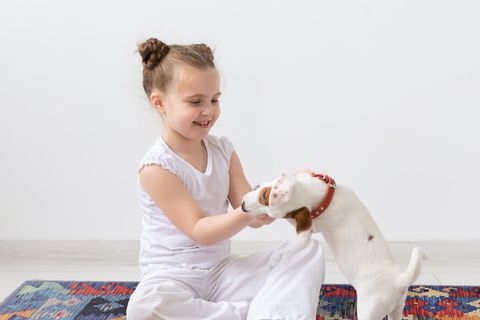 BABİL SALON HALISI, 200X290